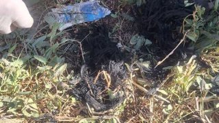 Մերձավանում տեղի ունեցած սպանության դեպքով ձերբակալվել է 1 անձ